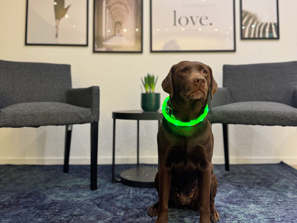 Die Filiale von Hörwerk Ihrem Akustiker in Mecklenbeck